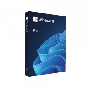 Microsoft Windows 11 Pro